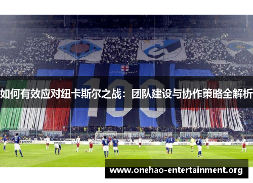 如何有效应对纽卡斯尔之战：团队建设与协作策略全解析