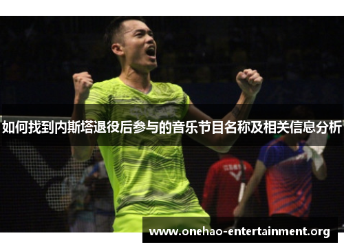 如何找到内斯塔退役后参与的音乐节目名称及相关信息分析