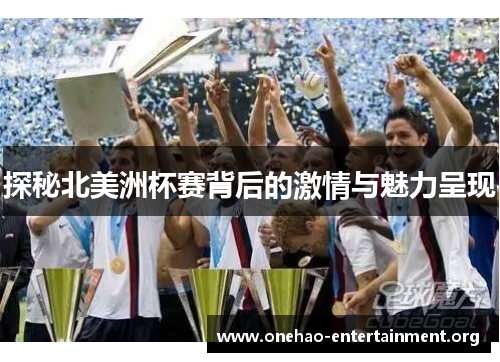 探秘北美洲杯赛背后的激情与魅力呈现