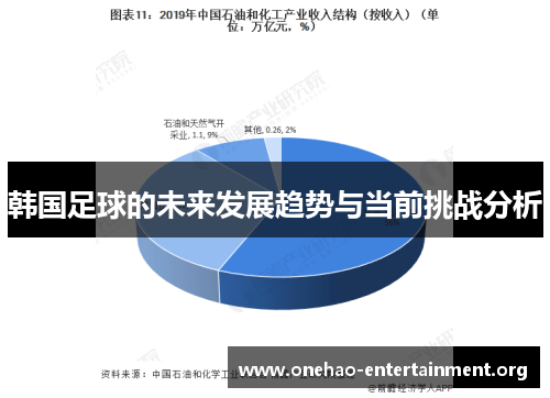 韩国足球的未来发展趋势与当前挑战分析